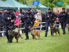 pokaz-wyszkolenia-psow-policyjnych-dni-sggw-2025 (21)