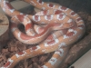 20190518_110739