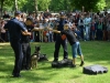 6-26371Artur