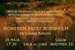 629 (2)