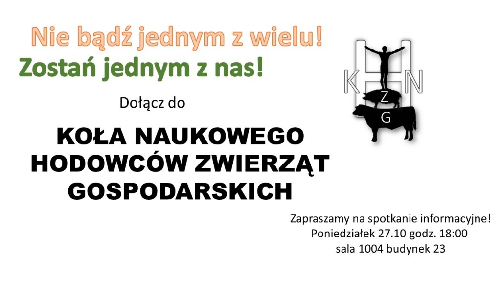 Prezentacja1