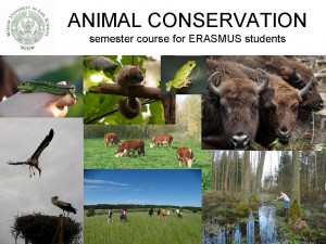 ANIMAL CONSERVATION plakat