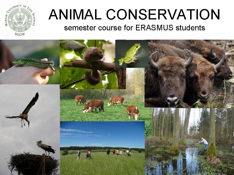 ANIMAL CONSERVATION plakat