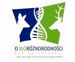 zaproszenie na strone1
