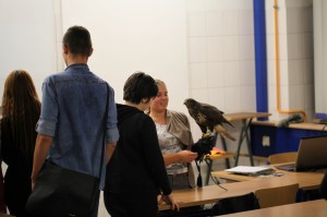 aves5