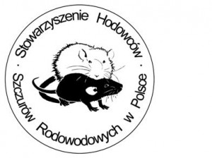 szczury