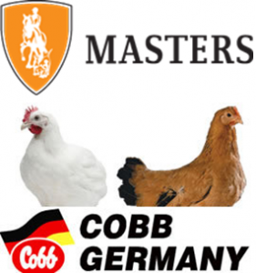 logo20.11