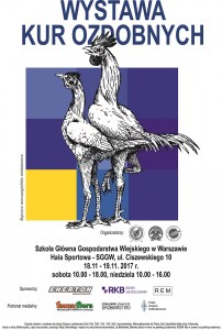 plakat_2017-1