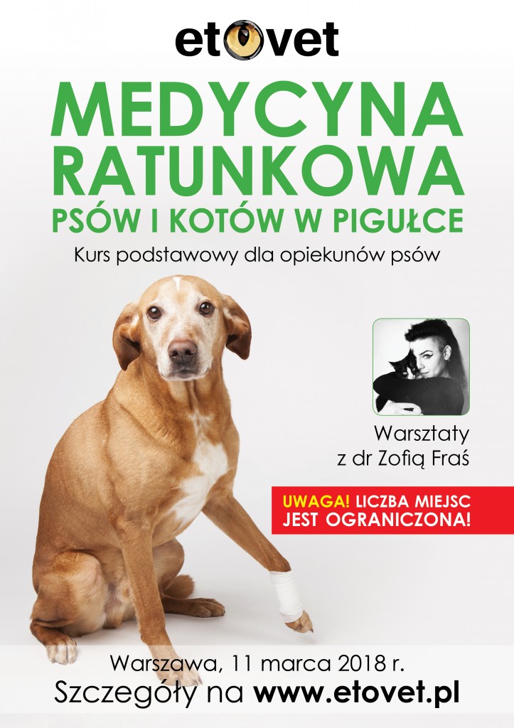 Reklamy Warsztaty5