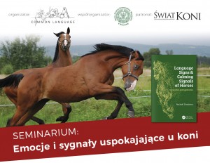Reklama_www_wawa
