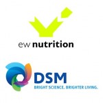 logo3.12.