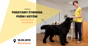 logo3_221105_20190402144040