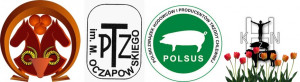 warsztaty
