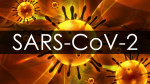 dt_200225_sars_cov-2_800x450
