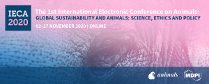 Banner IECA 2020 hero