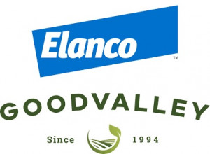 logo17.01.