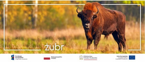 Supraśl