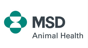MSDlogo