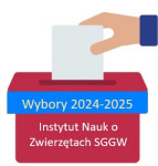 Logo wyborów