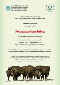 zaproszenie